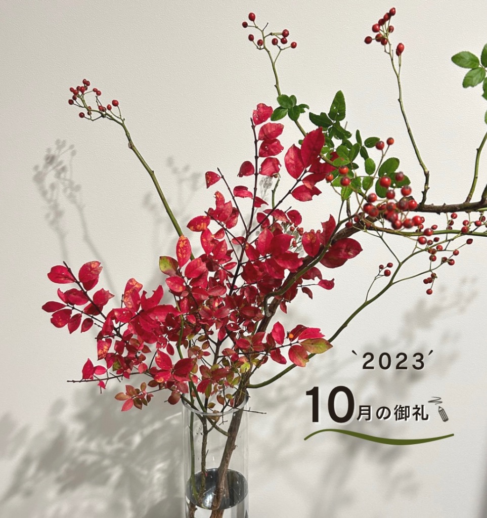 10月もありがとうございました😊